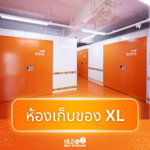 XL (34.5 sqm)